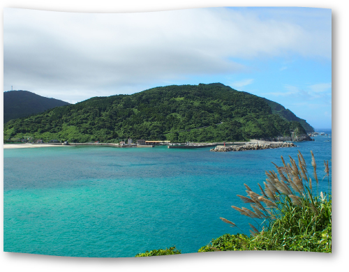 天草の海水塩で味わい深く